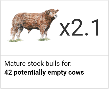 Mature Stock Bulls FarmOps Icon