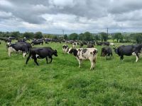 Dairy farmer Niall Hartford talking to the group at his dairy farm in Drogheda, Co.Louth