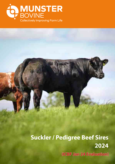 Suckler Pedigree Beef Sires Munster Bovine ICBF Jan Evaluations Page 01