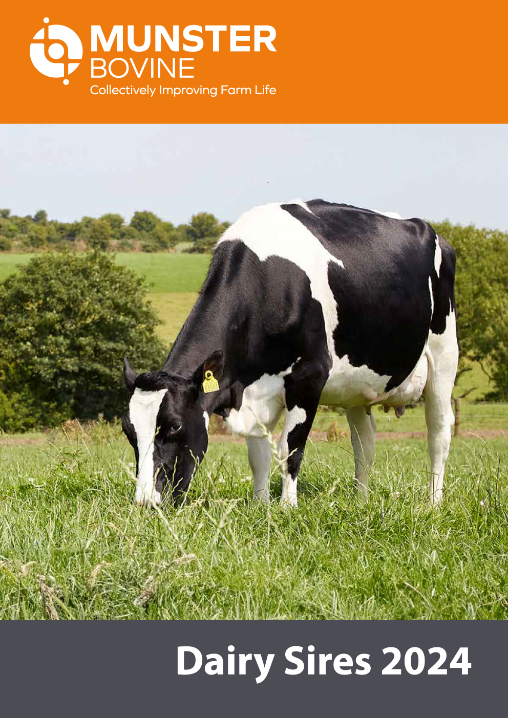 Munster Bovine Spring Dairy Sires 2024 Cover