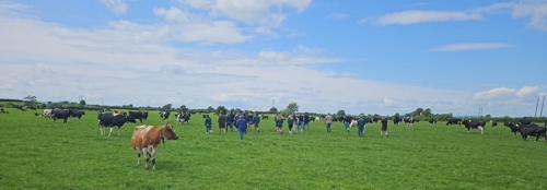 ABS Genus dairy farmers on the herd of Lottie and David Russell, Thurles, Co.Tipperary