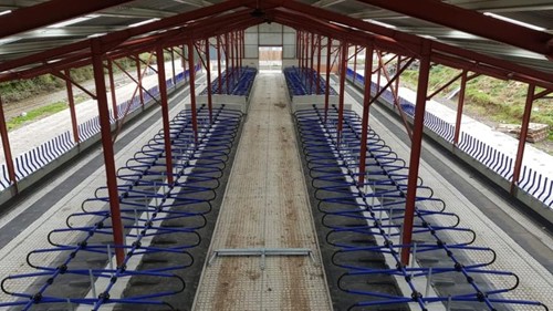 Cow House with a two-row design, showing an optimum in feed and bed access.