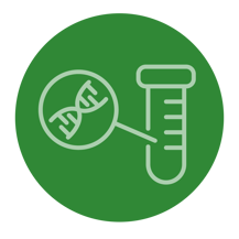 Testing of Elite Genomic Test Sires Flag