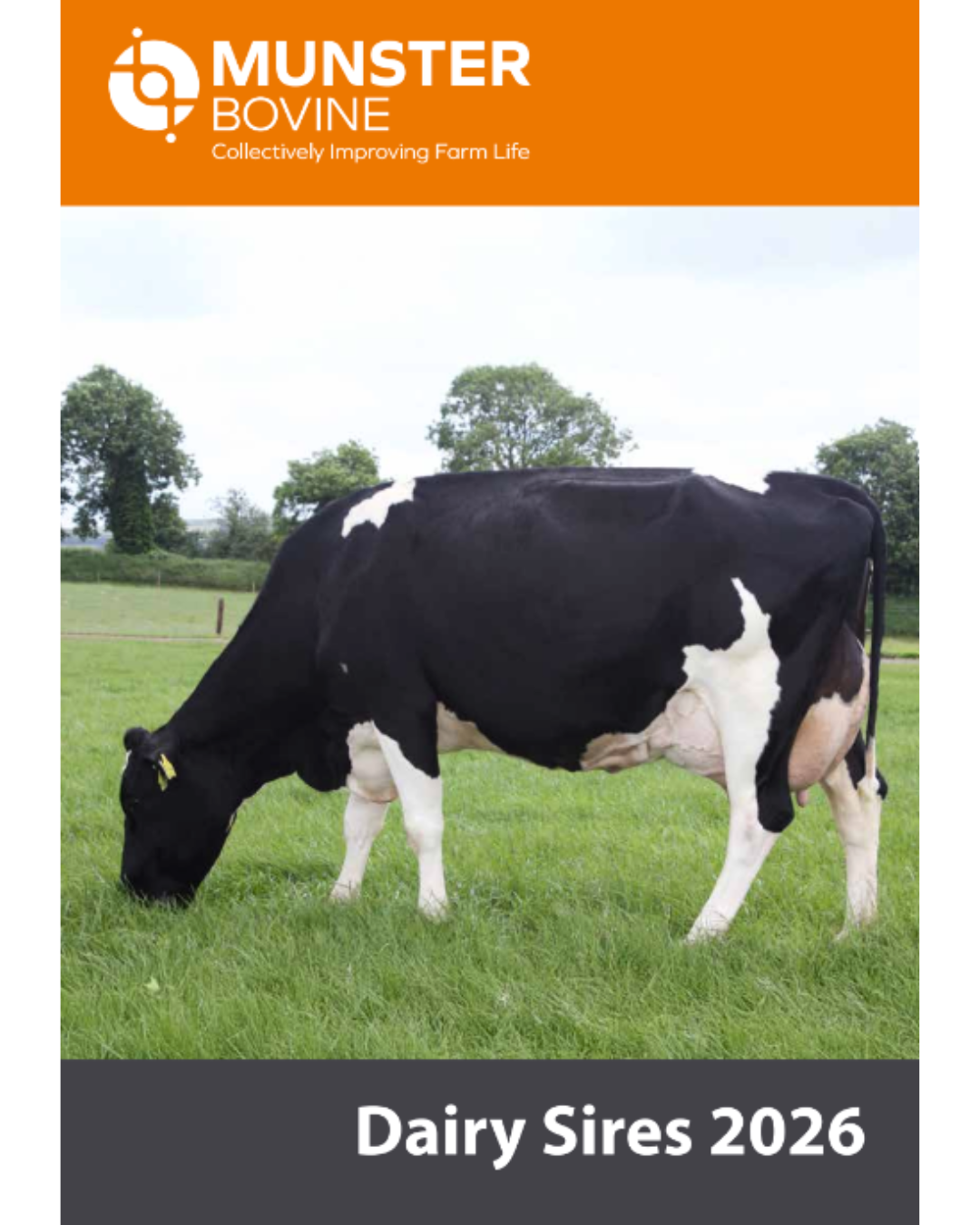 Front Cover Dairy Sires
