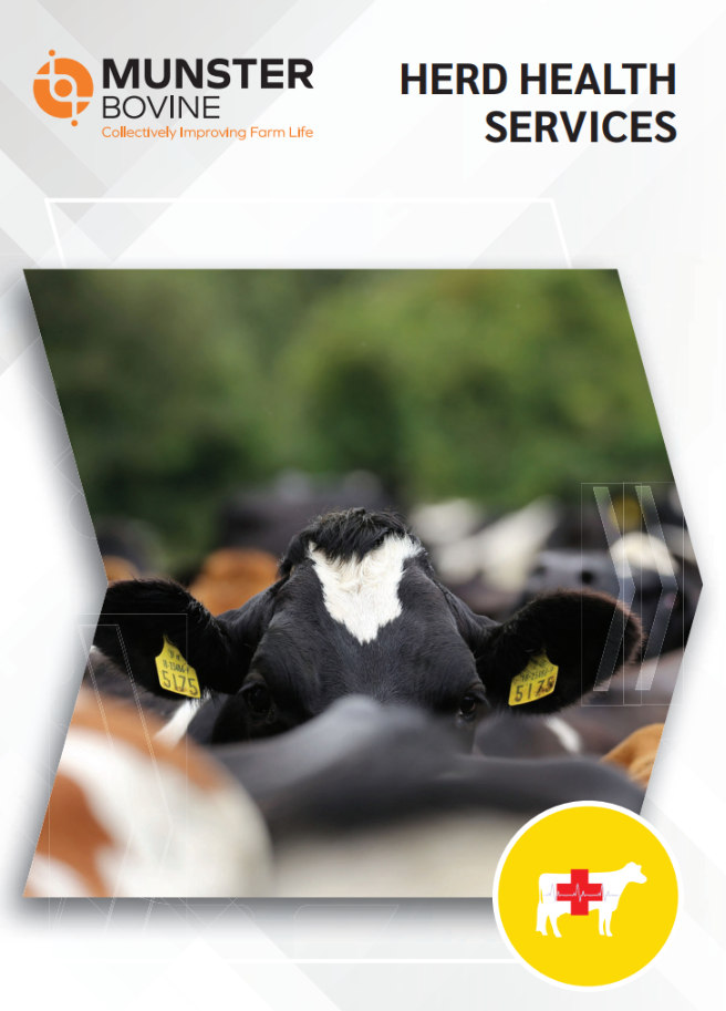 Herd Health Services