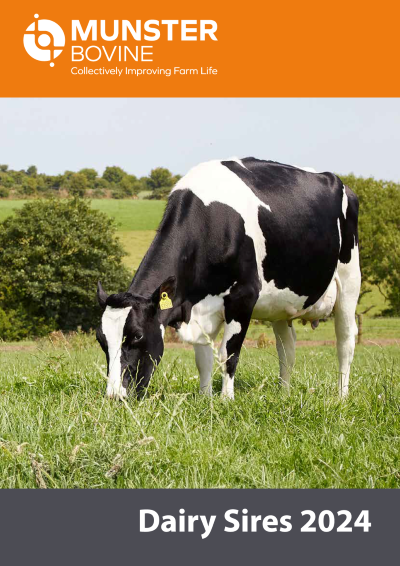 Munster Bovine Spring Dairy Sires 2024 Cover 1