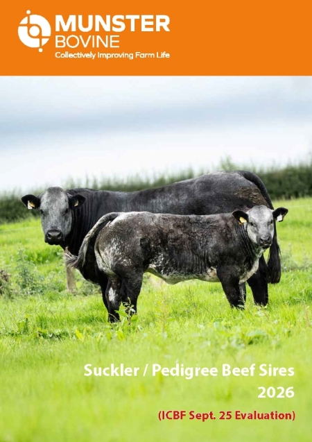 MB Beef Suckler Cover 26