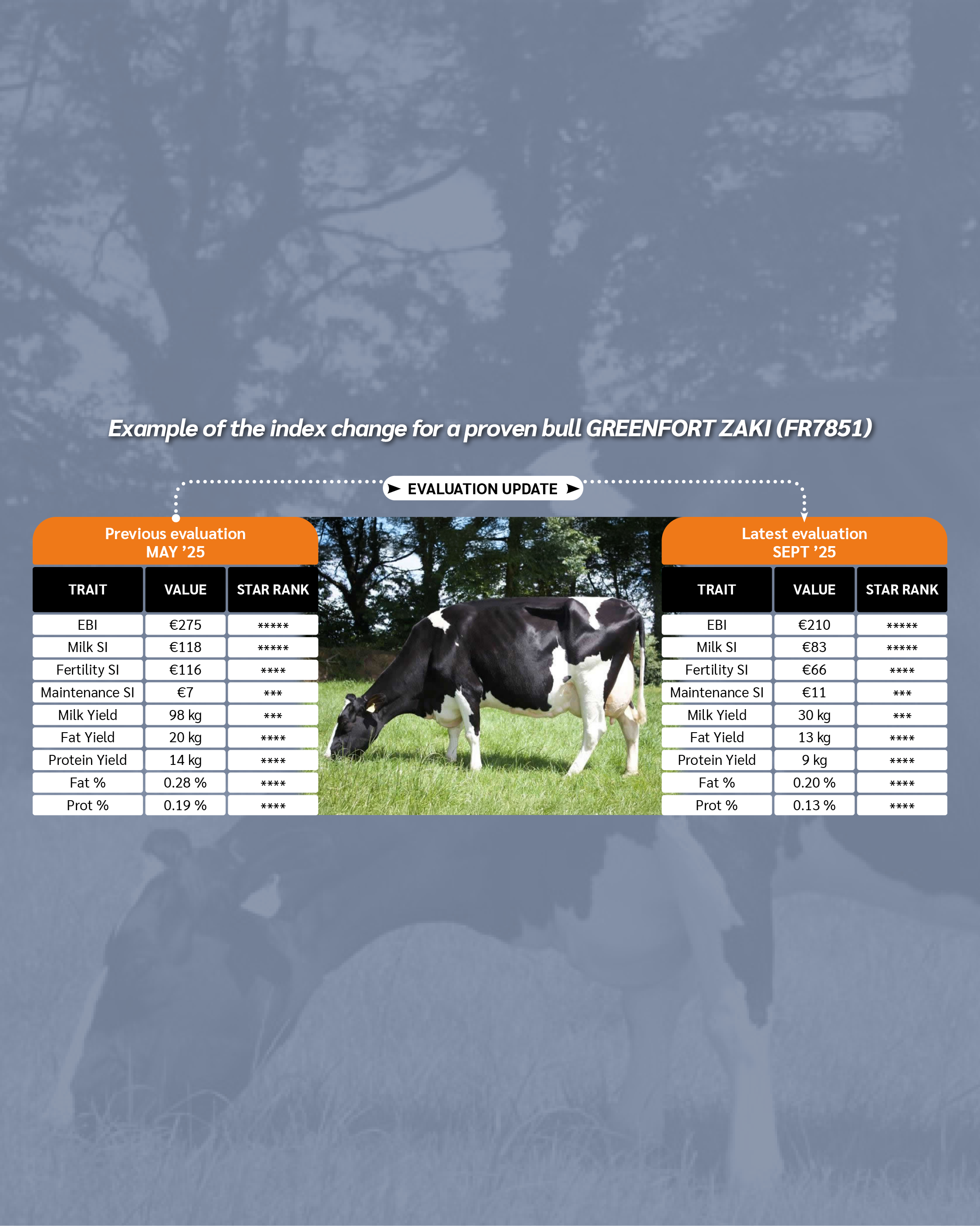 ZAKI Evaluation Update Colour