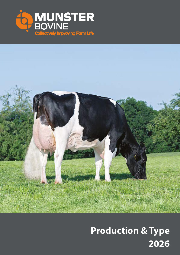 Production And Type 2026 Munster Bovine Cover