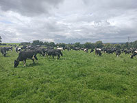 Dairy farmer Niall Hartford talking to the group at his dairy farm in Drogheda, Co.Louth