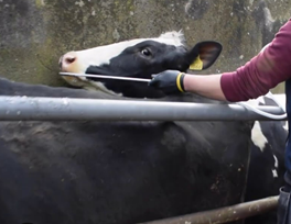 Ensure dosing equipment is working properly